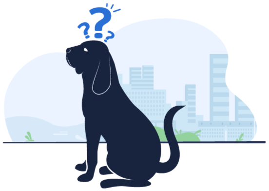 HE-img/perro-hound-express-con-preguntas.png